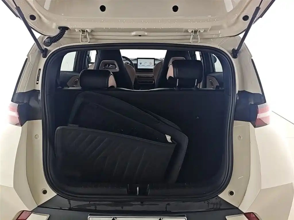 BYD Seagull 2024 Glory Edition 305km Vitality Edition фото 19