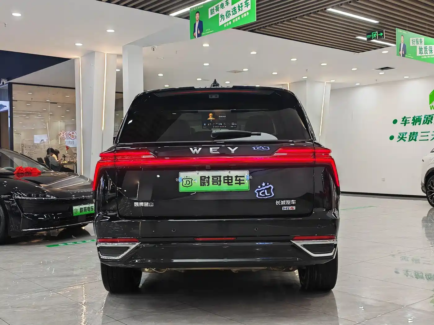 WEI PAI WEI BRAND BLUE MOUNTAIN