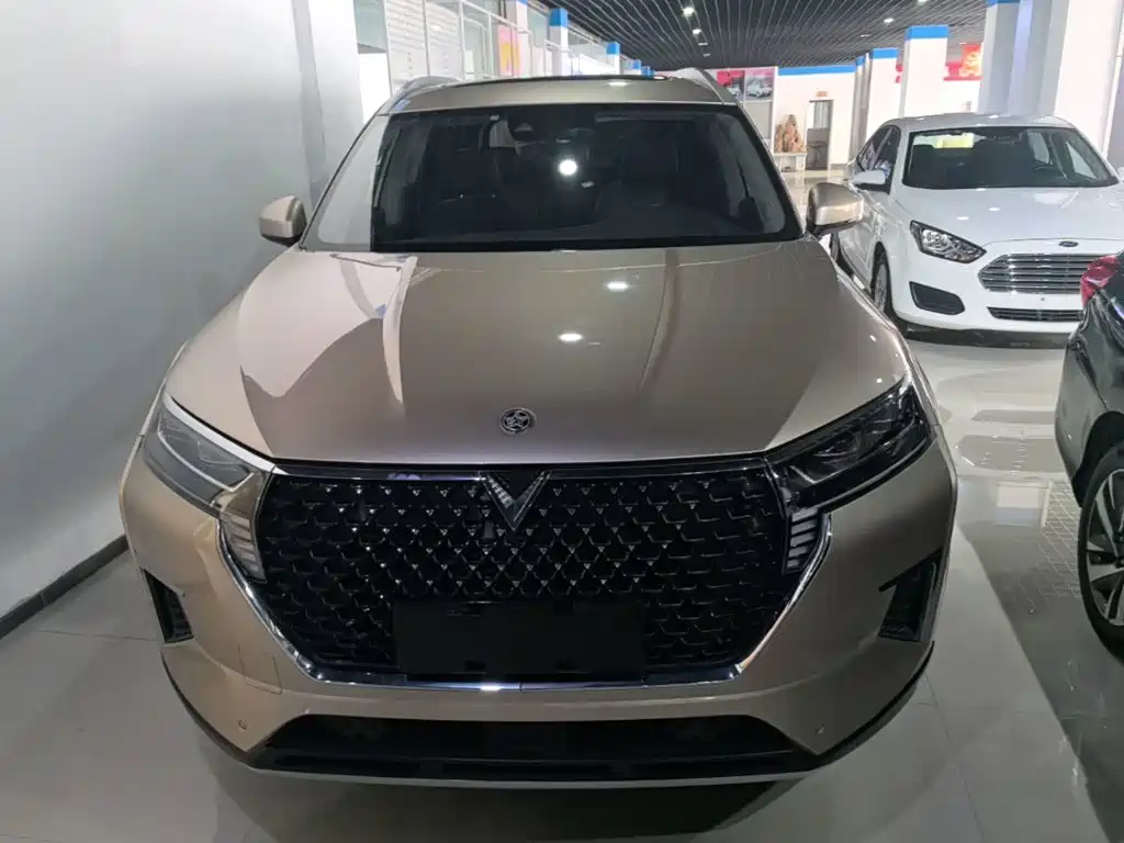 Venucia Star 2020 2020 260T Automatic 48V Mild Hybrid Turbo Star Enjoy Edition