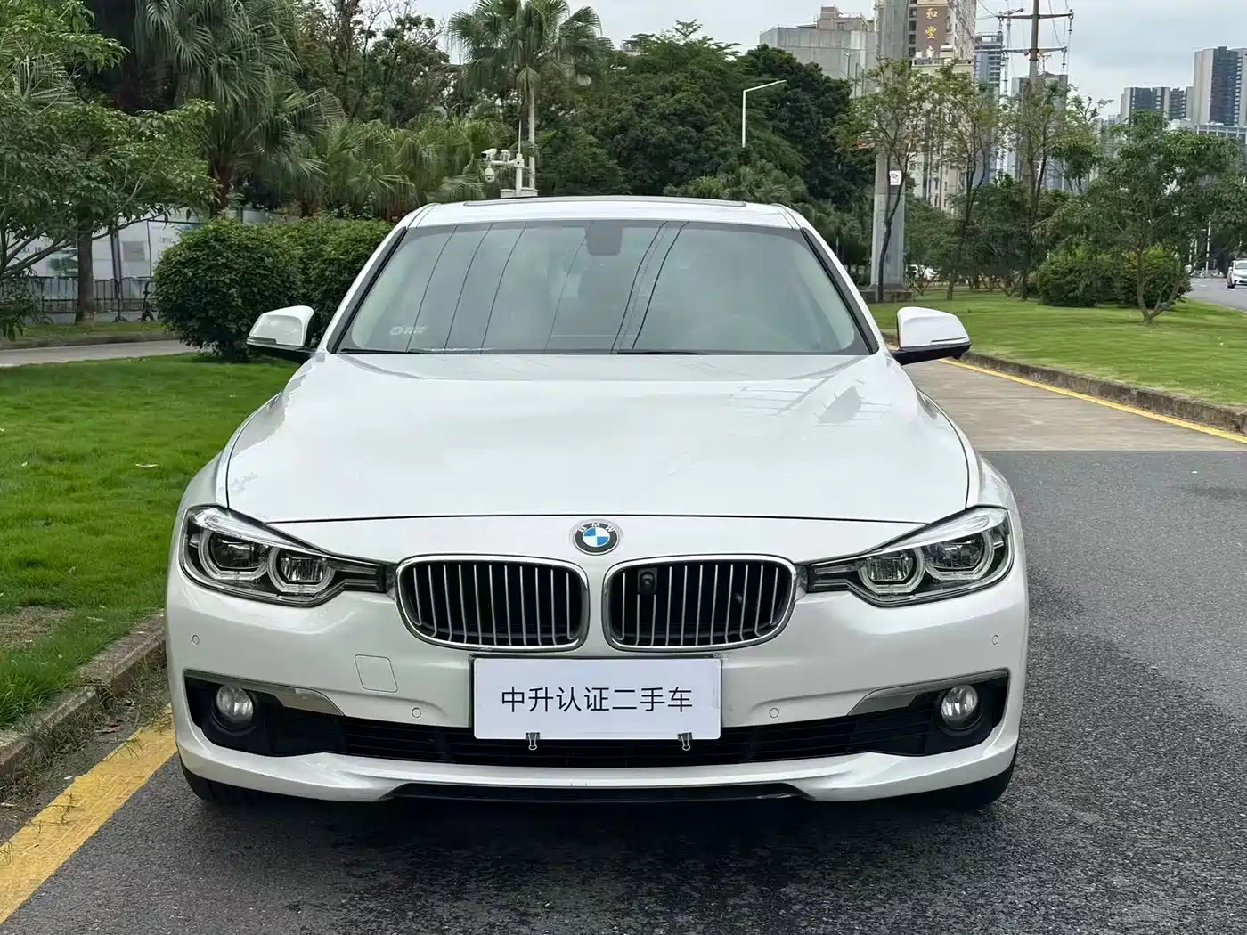 BMW 3 Series 2019 320Li Fashion Type
