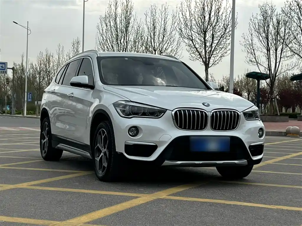 BMW X1 2019 xDrive20Li Premium Model фото 22