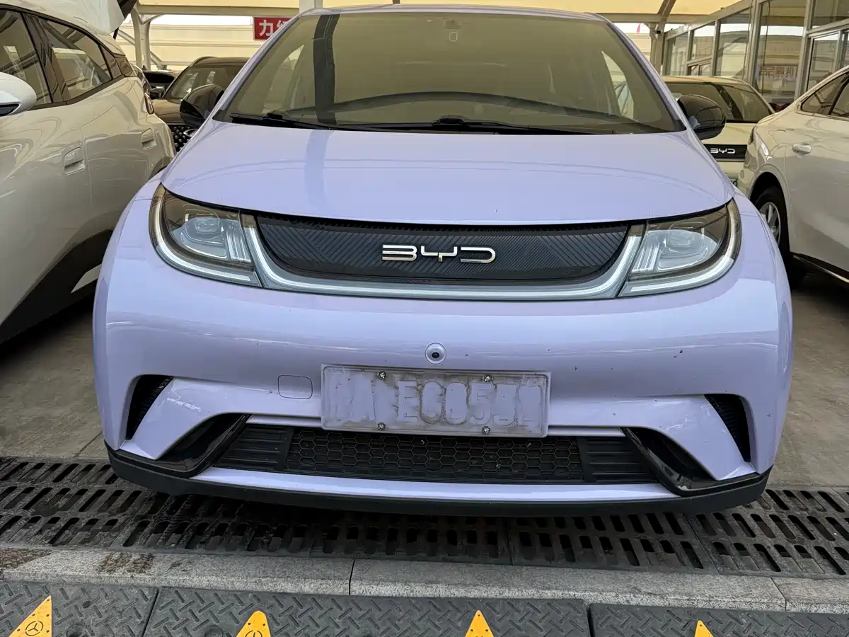 BYD Dolphin 2024 Glory Edition 420km Freedom Edition фото 9