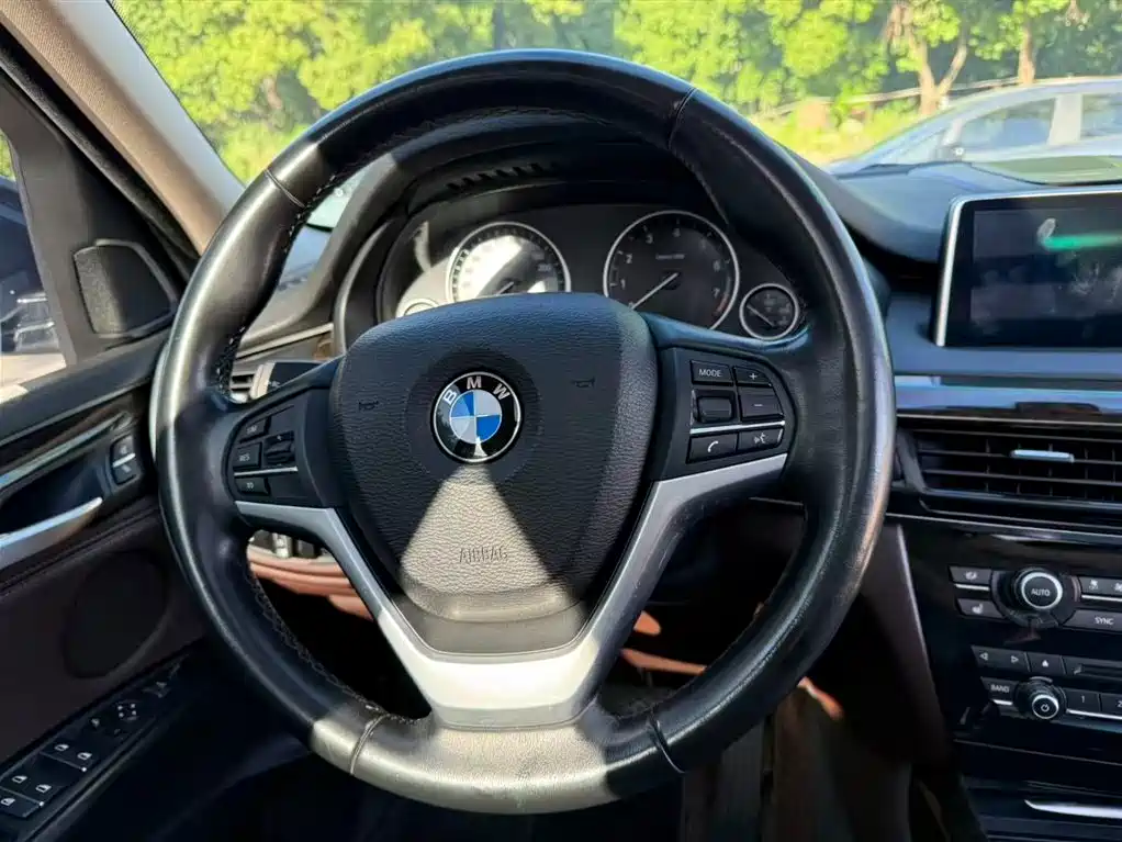 BMW X5 (Import) 2017 xDrive35i Elegance фото 15