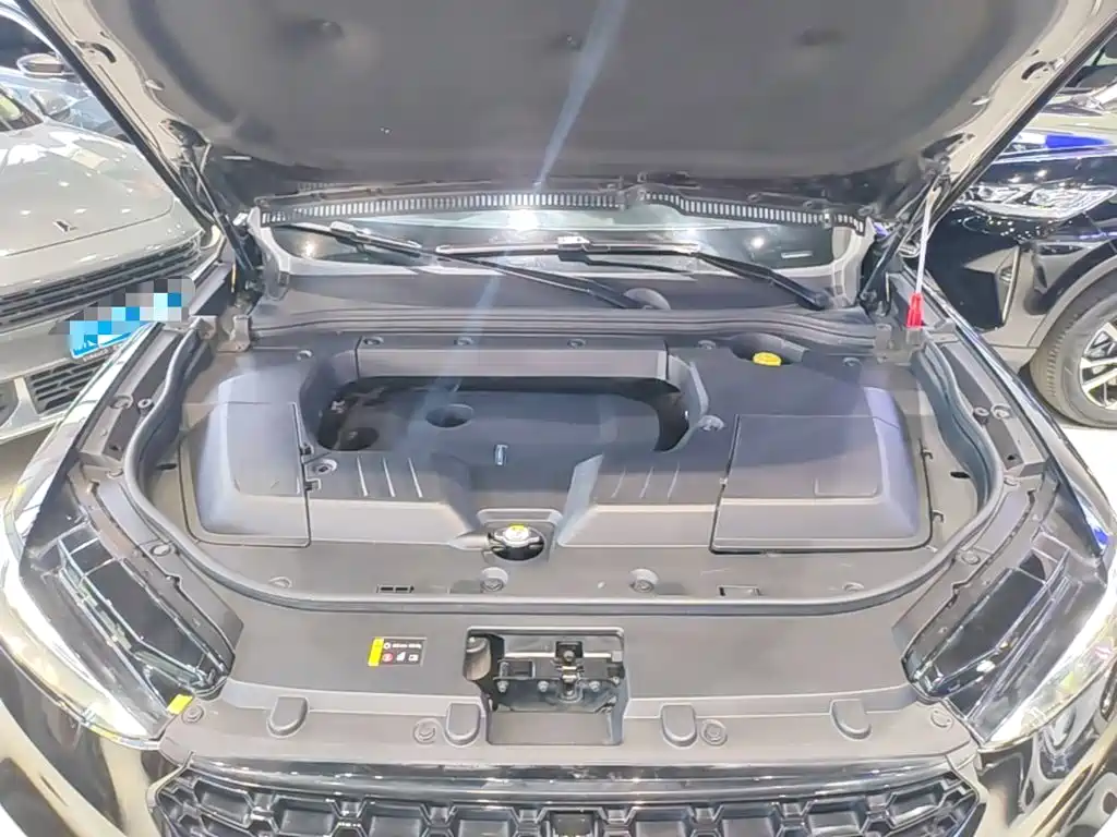 WEY VV6 2019 2018 2.0T 2WD Super Luxury China V