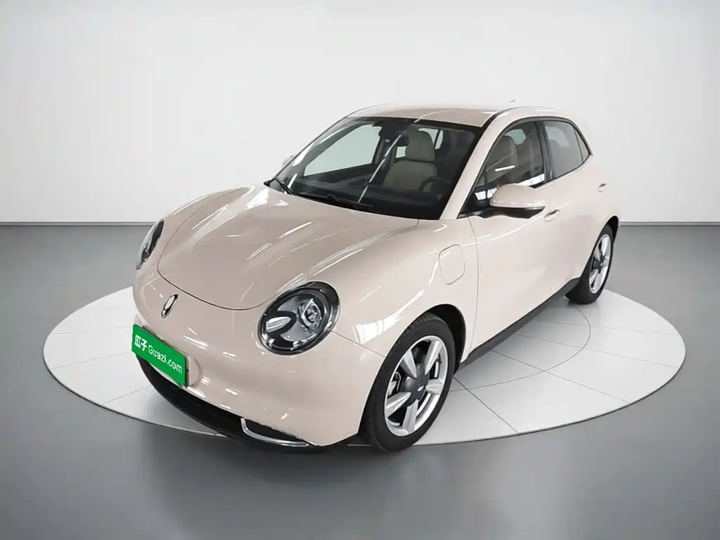 Ora Good Cat 2023 2023 401km Standard Range Luxury LFP