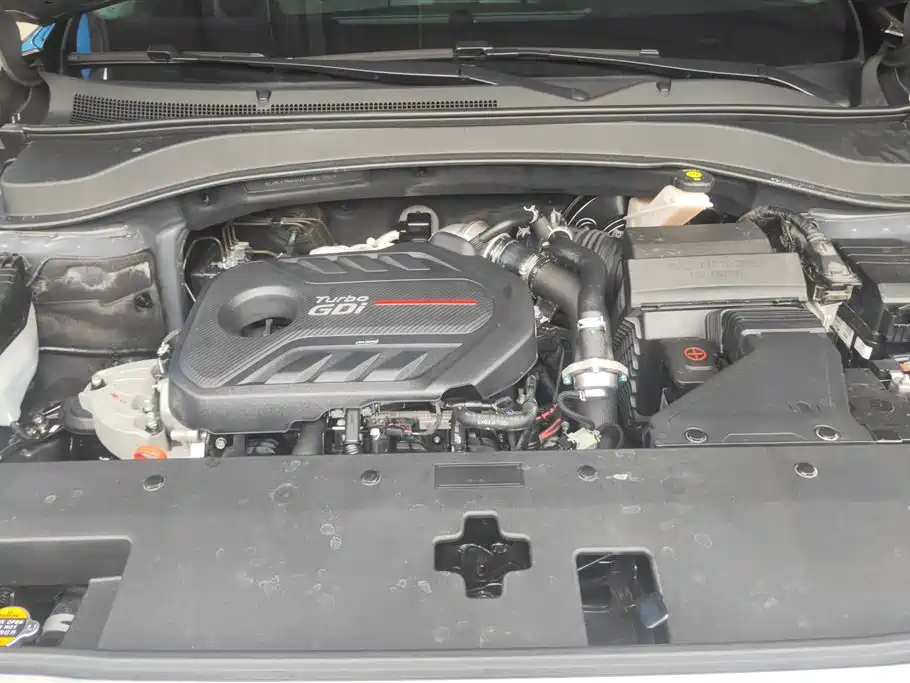 Hyundai Santa Fe 2020 380 TGDi Auto 2WD GLS Luxury фото 10
