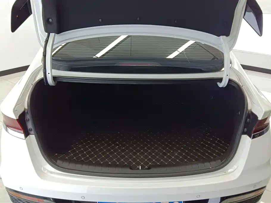 Hyundai Fista 2021 280TGDi Luxury Sport Dynamic Edition фото 4
