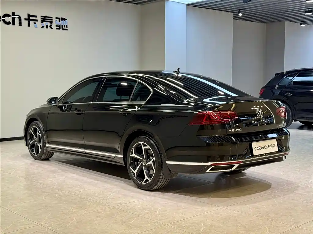 Volkswagen Magotan 2025 Popular Edition 330TSI DSG Luxury фото 6