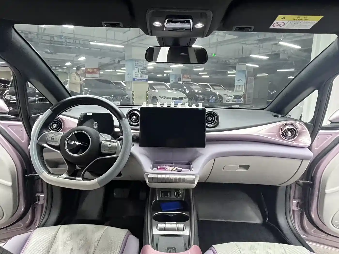 BYD Dolphin 2023 420km Fashion Edition фото 11