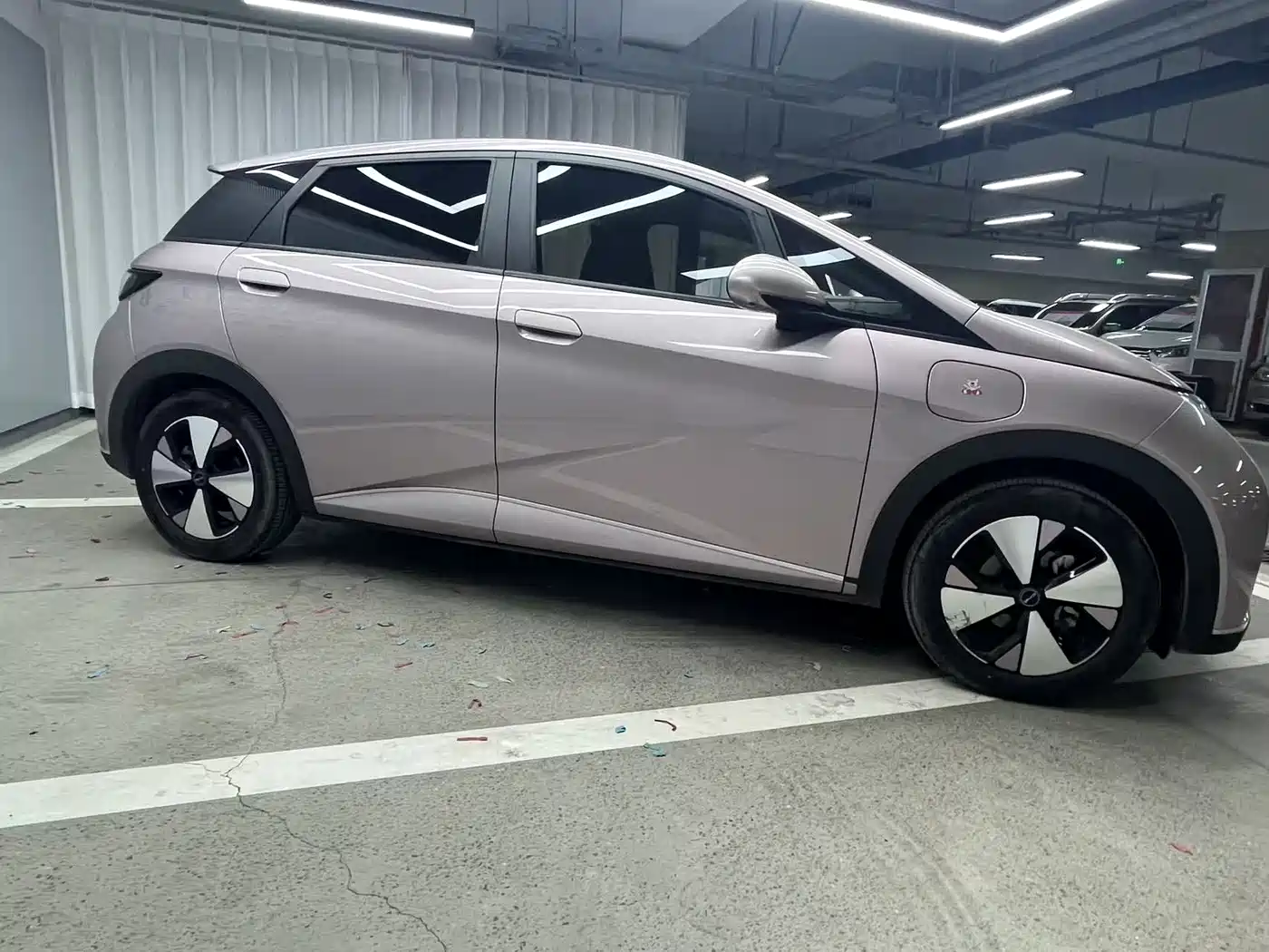 BYD Dolphin 2023 420km Fashion Edition фото 2