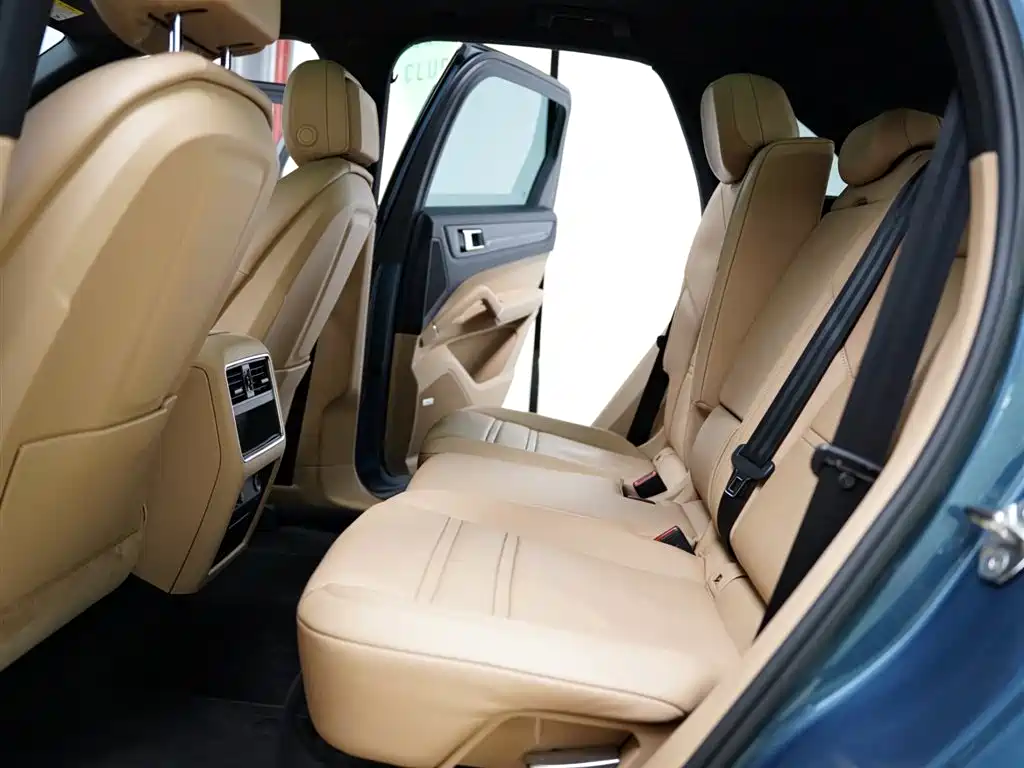 Porsche Cayenne 2019 Cayenne 3.0T фото 43