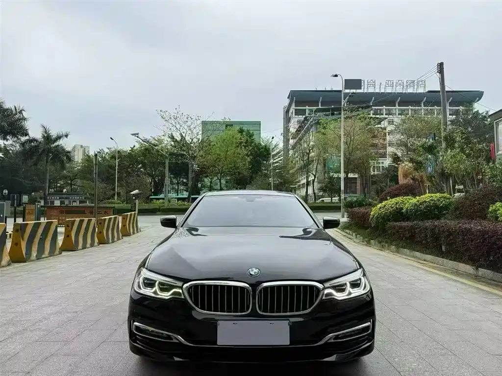 BMW 5 Series 2018 Facelift 530Li Exclusive Luxury Package фото 8