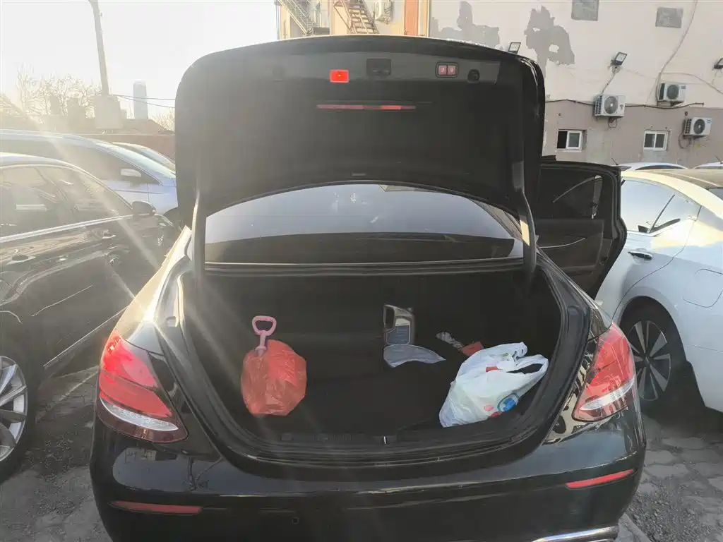 Mercedes-Benz E-Class 2019 E 300 L Luxury фото 15