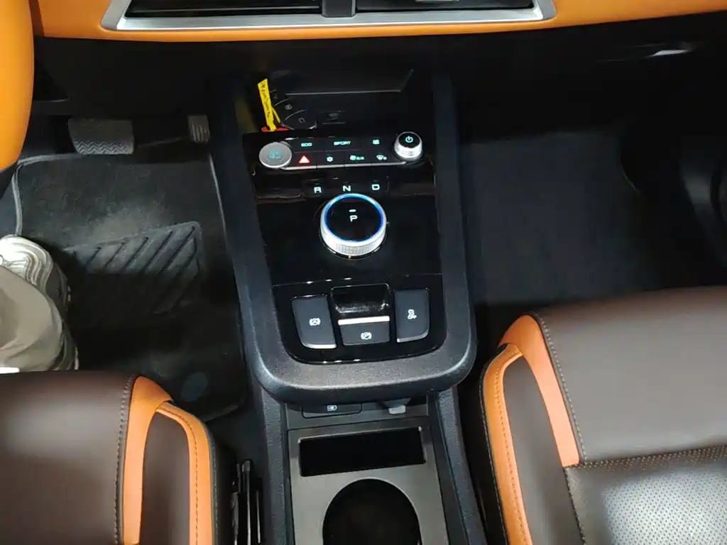 BYD e2 2022 2021 Luxury Edition