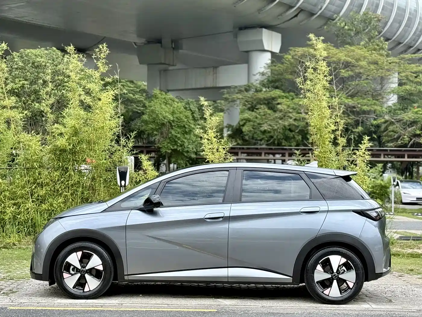 BYD Dolphin 2023 420km Fashion Edition фото 3