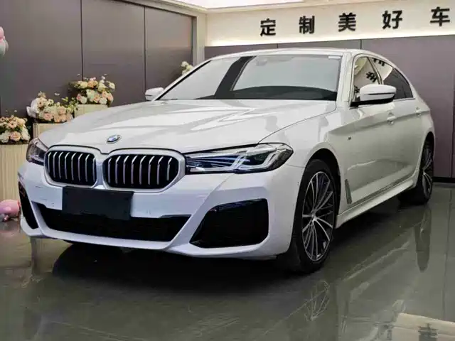 BMW 5 Series 2021 530Li Leading M Sport Package