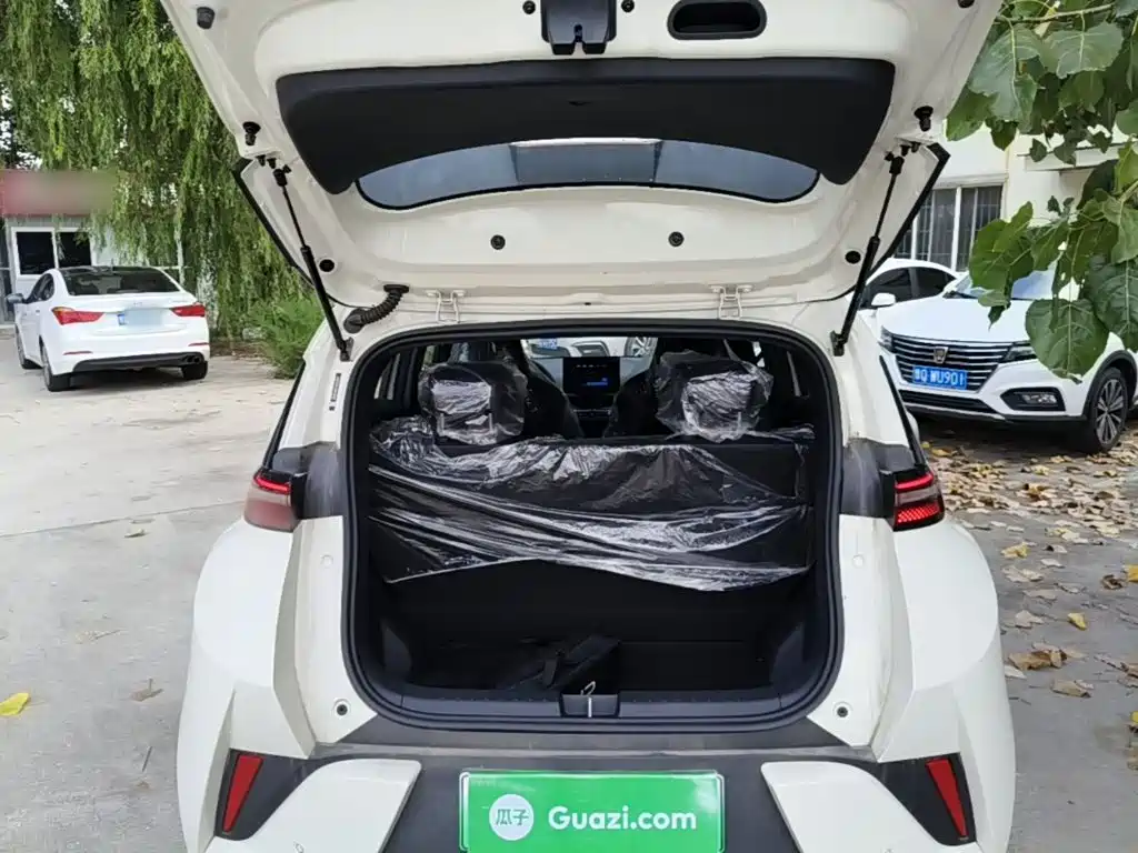 BYD Seagull 2026 2025 Smart Drive Edition 305km Vitality Version