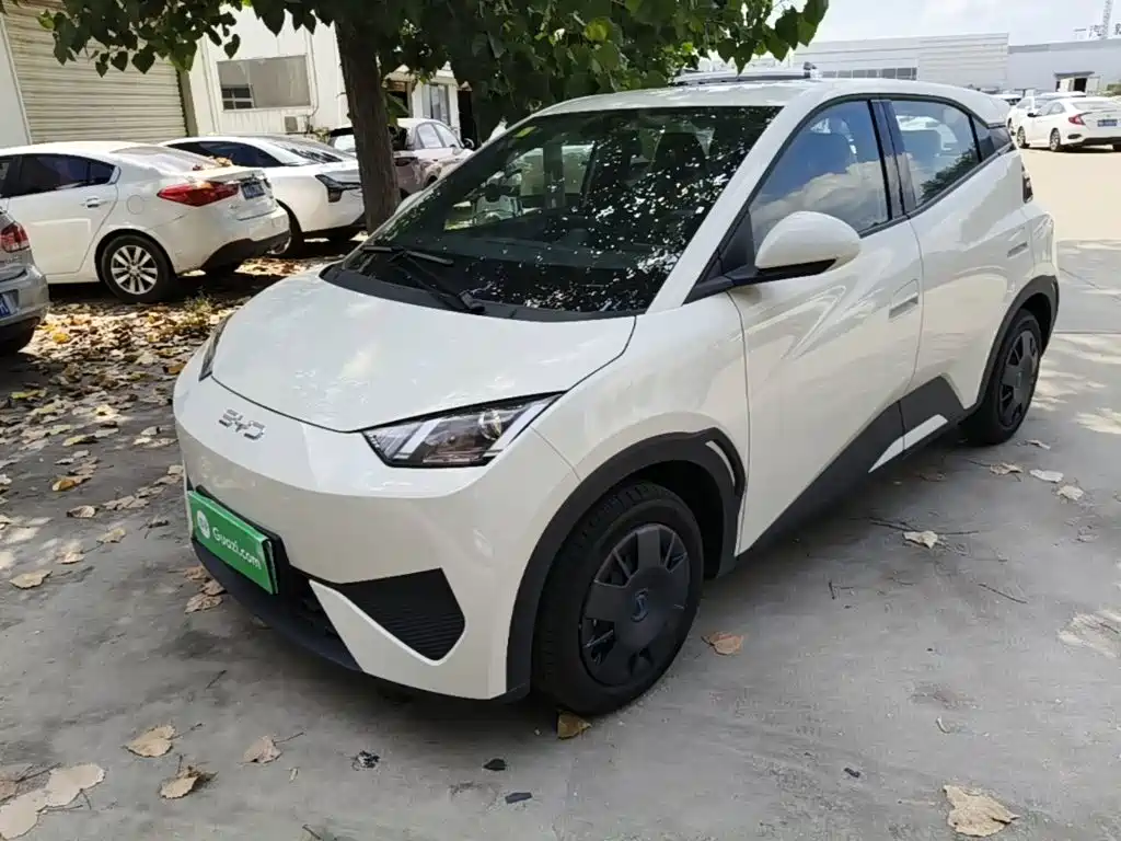 BYD Seagull 2026 2025 Smart Drive Edition 305km Vitality Version