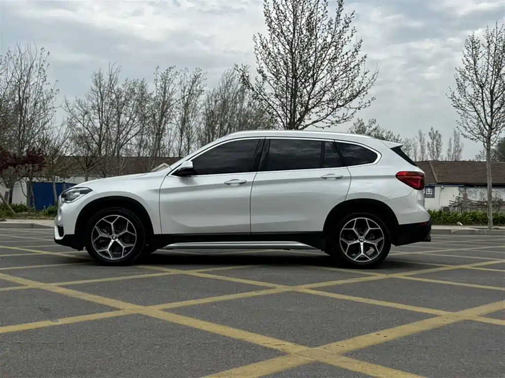 BMW X1 2019 xDrive20Li Premium Model фото 24