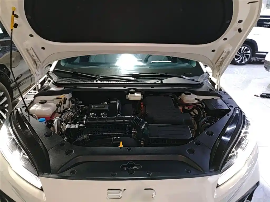 BYD Seal 06 New Energy 2024 DM-i 80KM Prestige фото 20