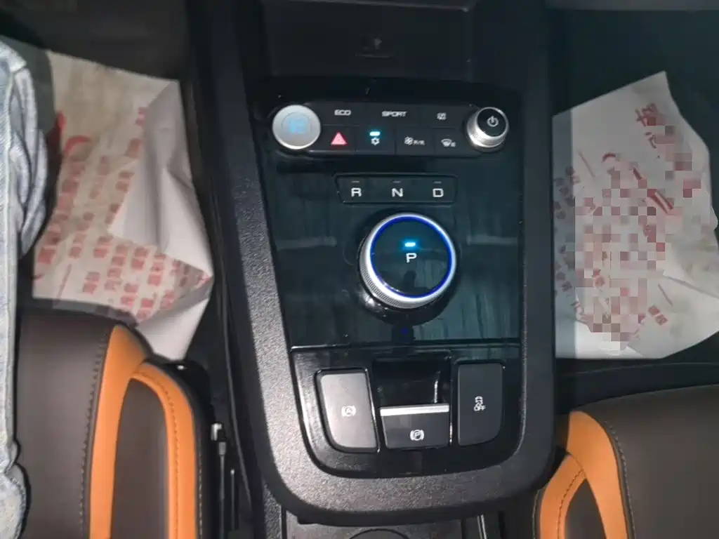 BYD e2 2021 2021 Premium Model