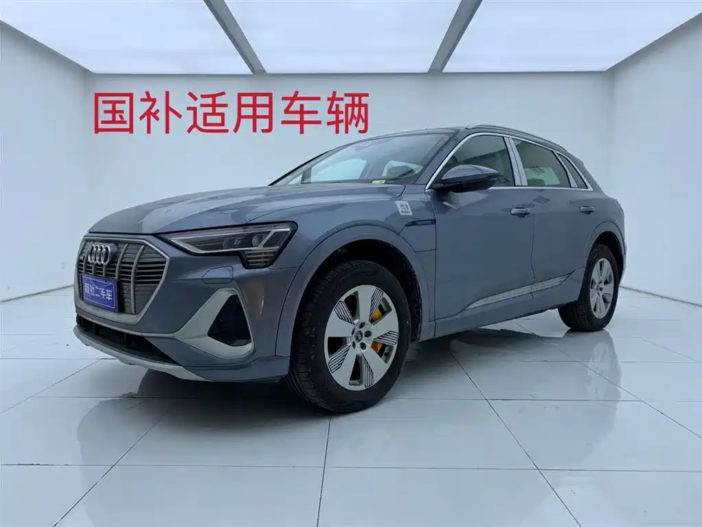 Audi e-tron 2021 50 quattro Luxury