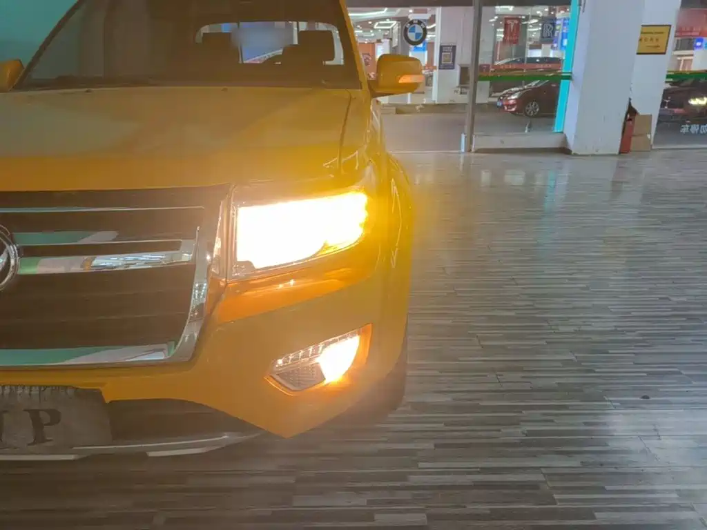 Dongfeng Ruiqi 2020 2019 2.4L Gasoline China VI 4WD Standard Standard Box 2TZD