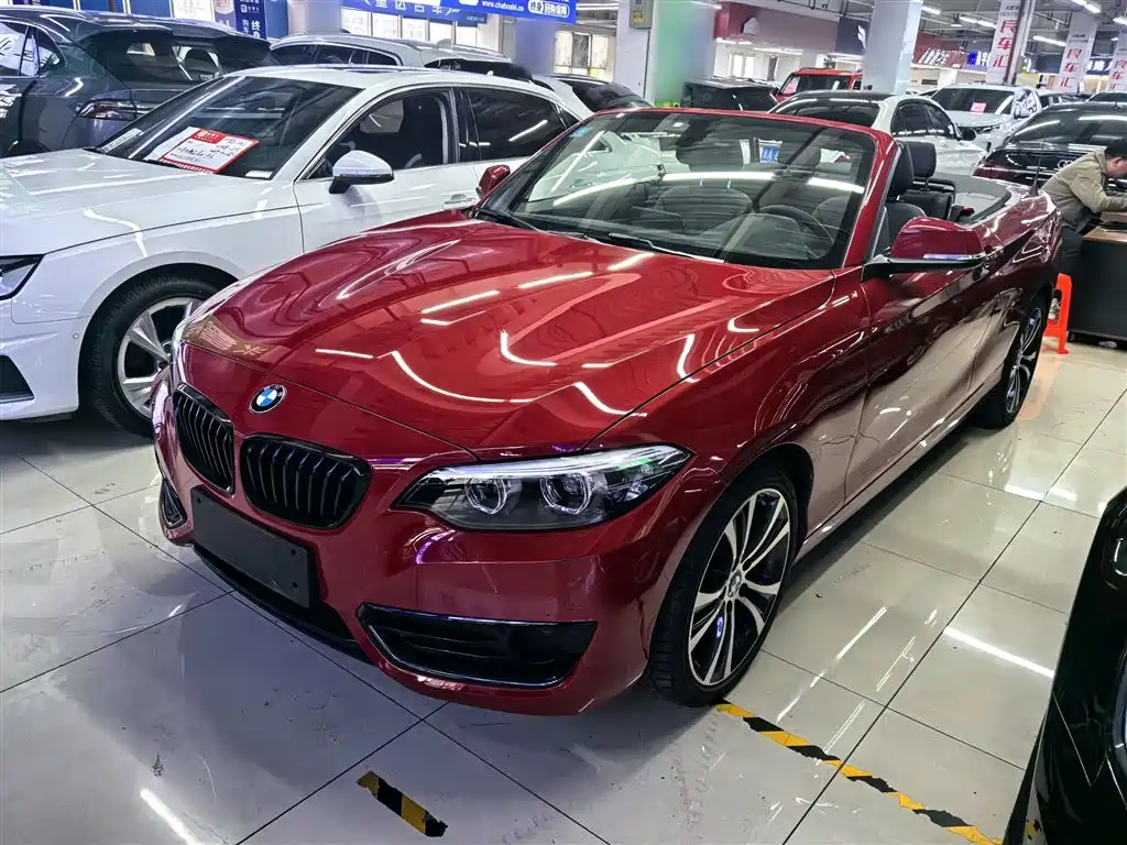 BMW 2 Series (Import) 2019 225i Convertible Coupe Sport Design Package фото 2