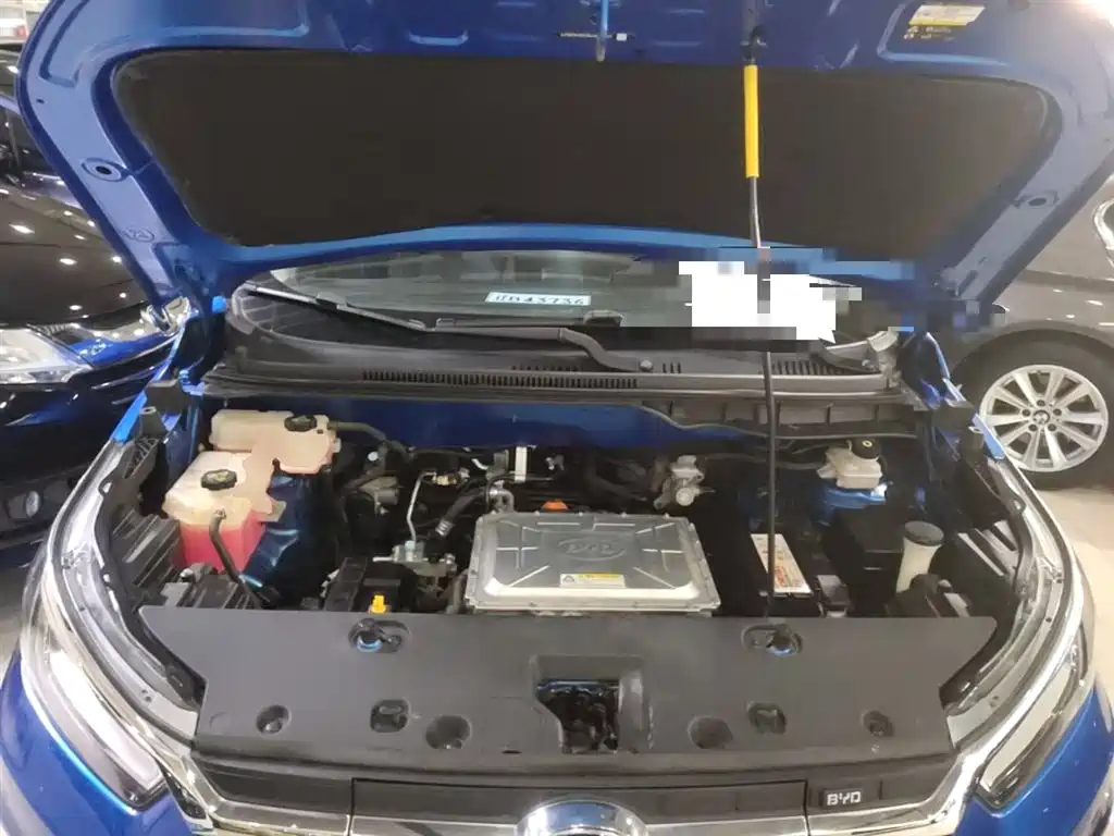 BYD Yuan New Energy 2019 EV535 Smart Connected Trend Leader Type фото 20