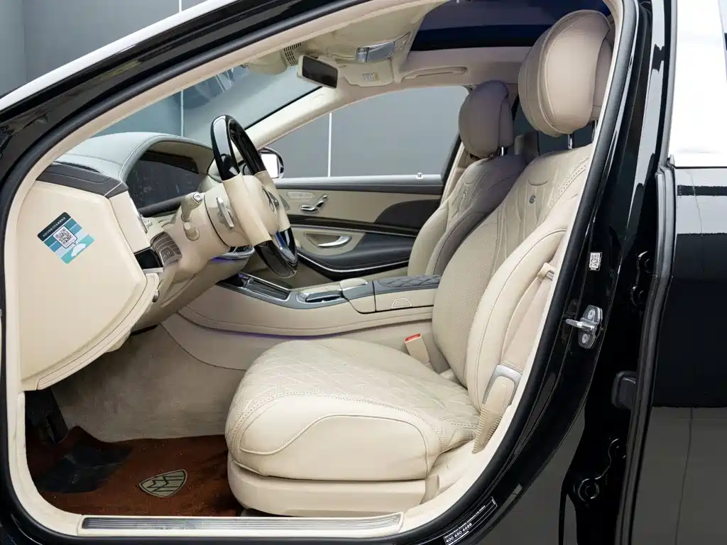 صورة 10 - Mercedes-Benz Maybach S-Class