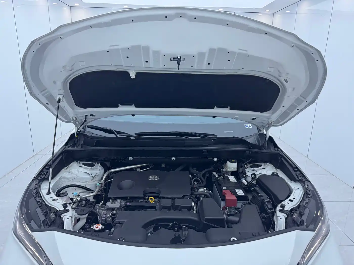 Toyota Venza 2024 2023 2.0L CVT FWD Luxury