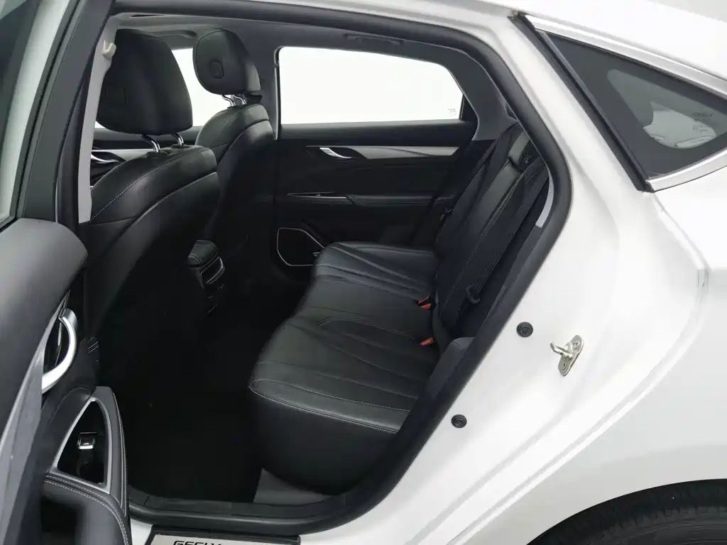 Geely Borui 2021 2021 1.8T Pilot Edition+