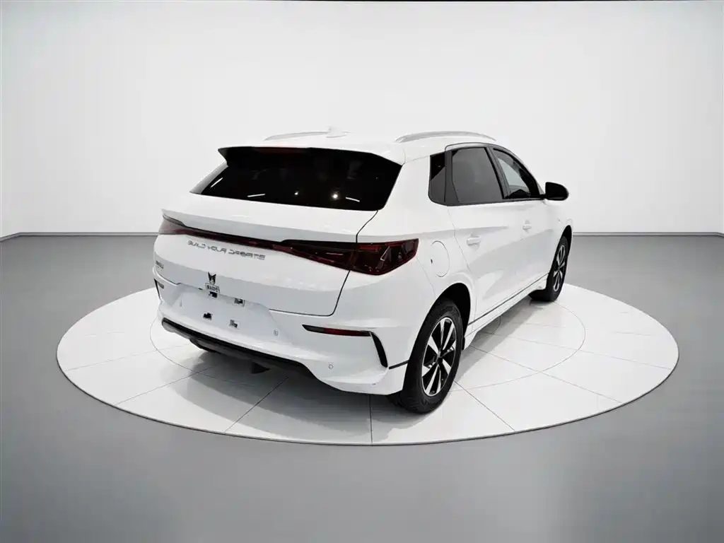 BYD E2