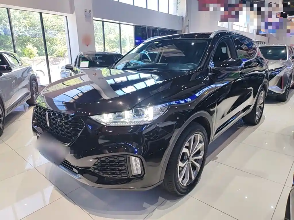 WEY VV6 2019 2018 2.0T 2WD Super Luxury China V