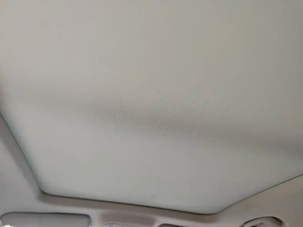 Roewe RX5 eMAX 2021 2020 500PHEV 4G Connected Luxury Edition