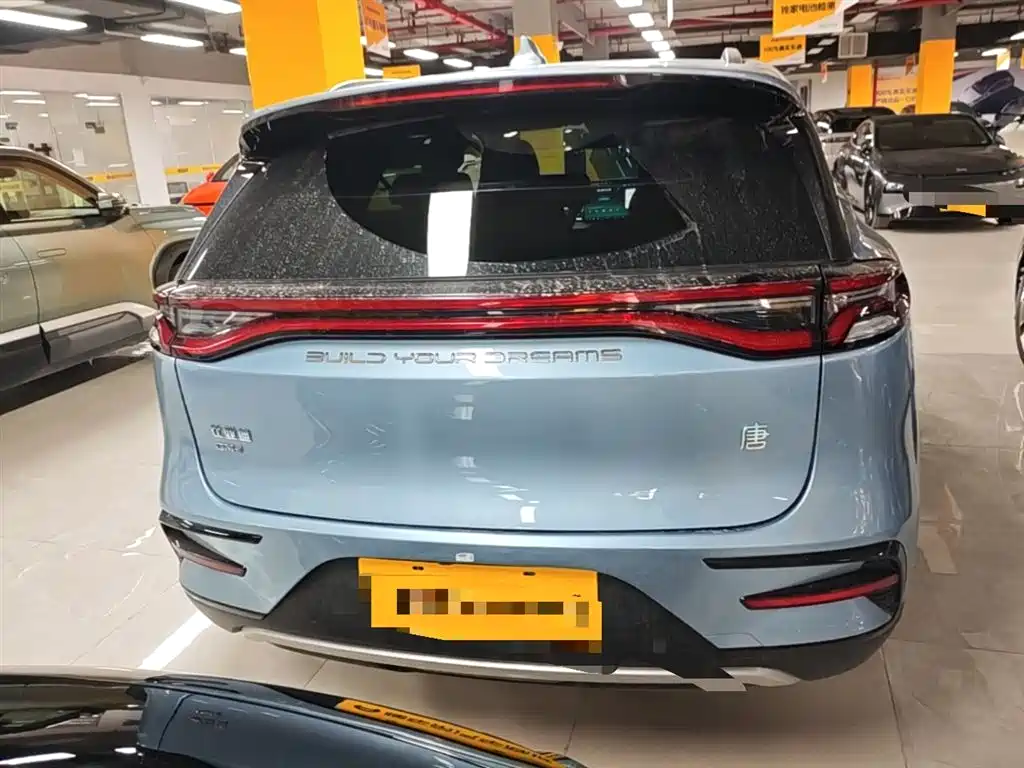 BYD Tang New Energy 2023 Model DM-i Champion Edition 112KM Honor фото 6
