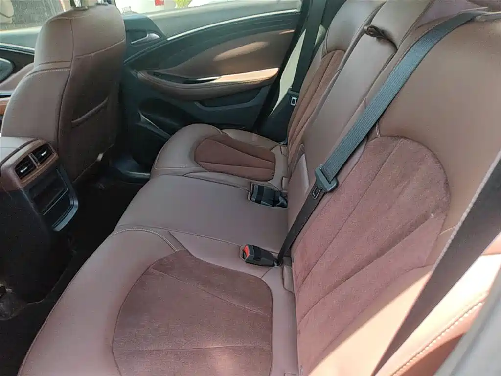Buick Envision Plus 2017 20T 2WD Luxury фото 17