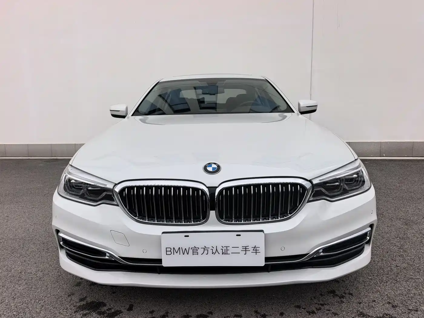 BMW 5 Series 2020 530Li Leading Luxury Package фото 2