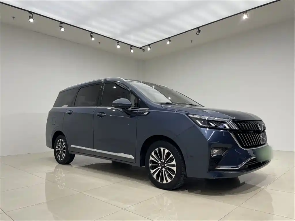 Wuling Motors Wuling Jiachen 2023 2022 1.5T CVT Exclusive Flagship Model