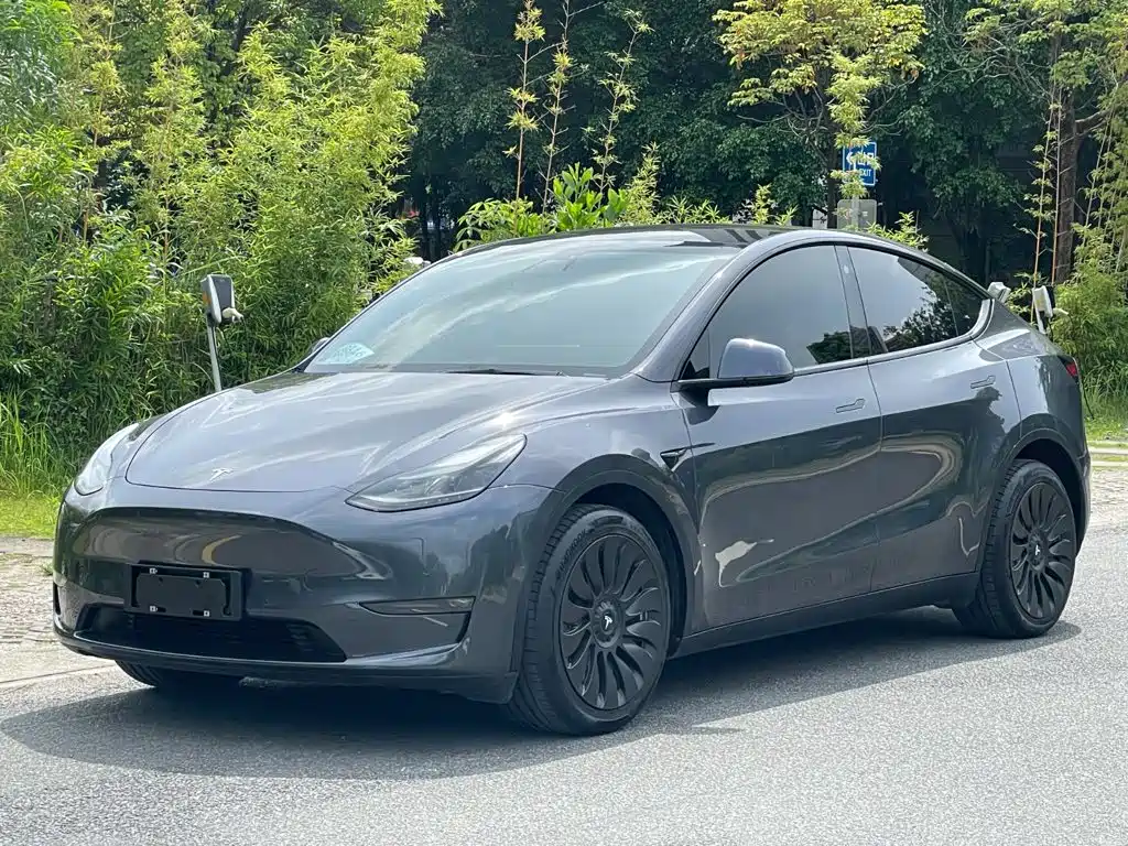  Tesla Model Y 2021 Long Range All-Wheel Drive 3D7