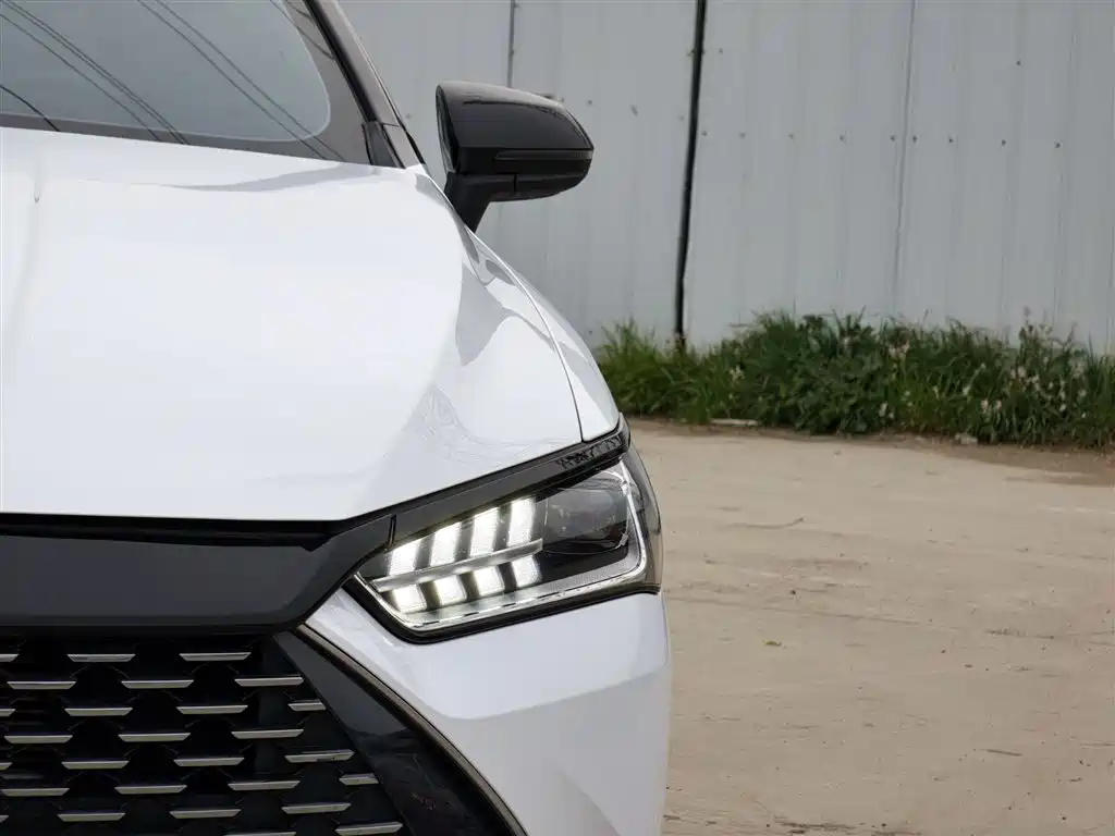 BYD Qin PLUS 2024 Glory Edition DM-i 55KM Leading фото 16