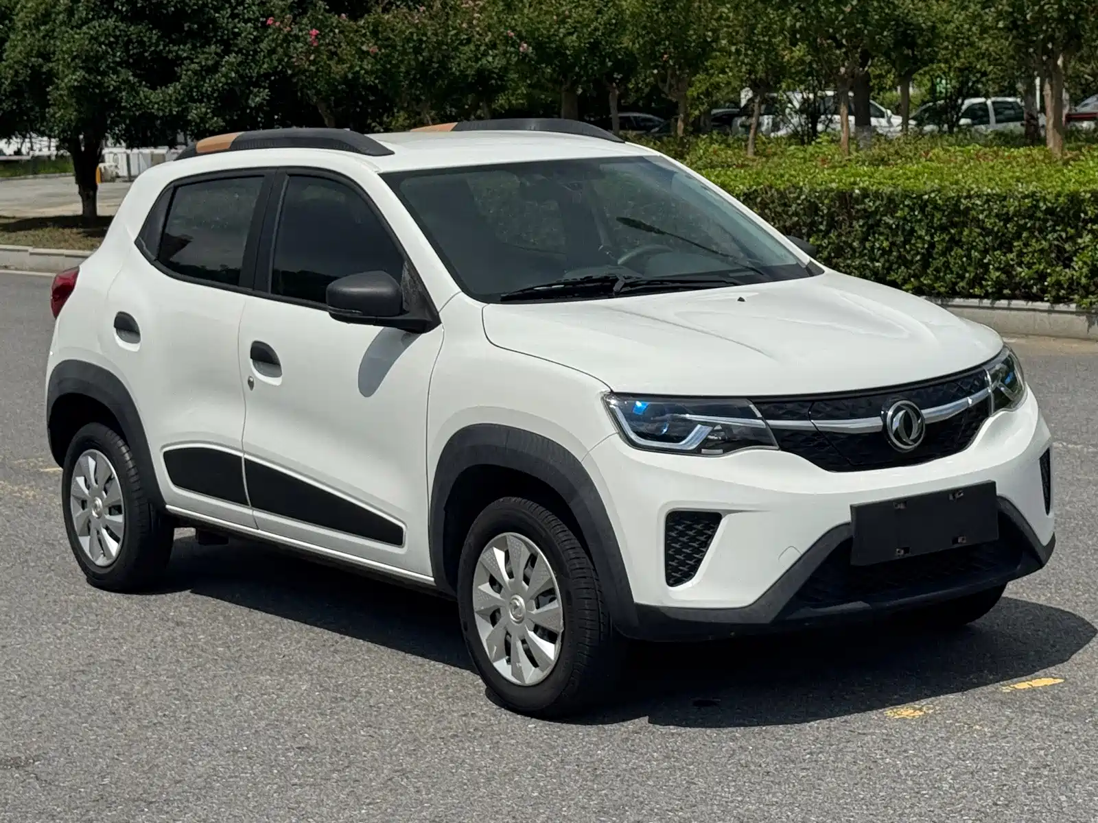 صورة 3 - Dongfeng Yipai Dongfeng Nano EX1