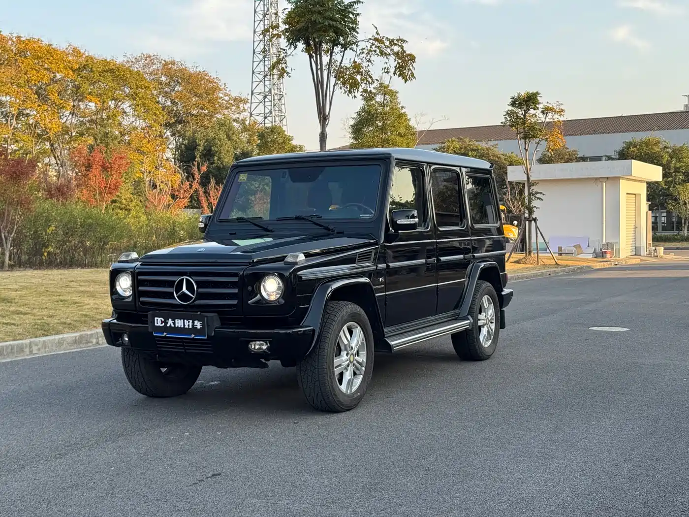 Mercedes-Benz G-Class 2010 G 500