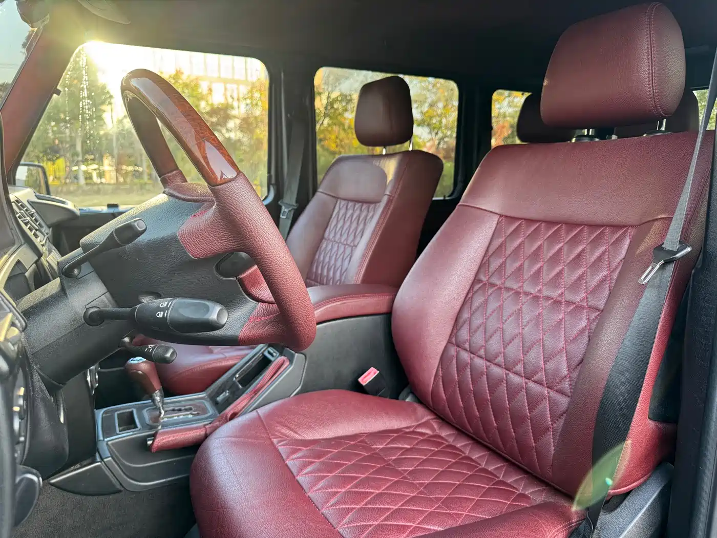 Mercedes-Benz G-Class 2010 G 500 фото 12