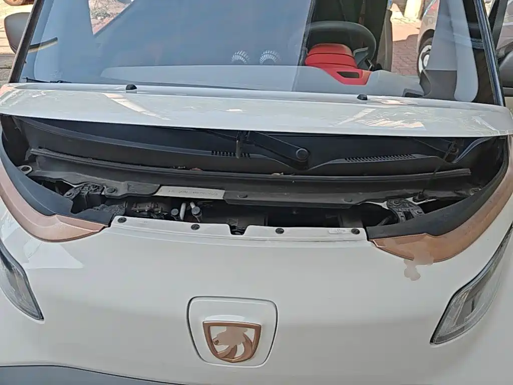 Baojun E200 2021 2020 305KM Smart Enjoyment Edition