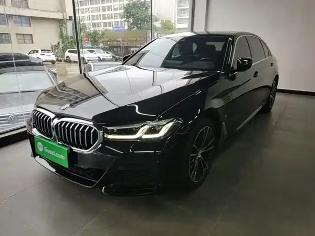 BMW 5 2-й рестайлинг, 530Li, Лидер, M Спорт-пакет