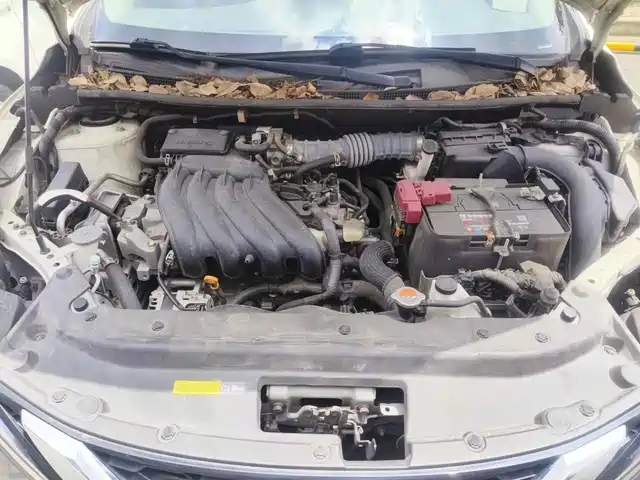 Nissan Sylphy 2021 Classic 1.6XL CVT Luxury Edition — фото 3
