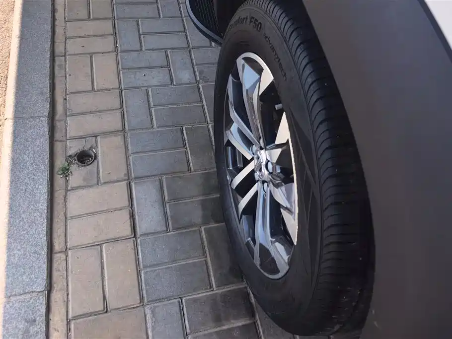 Haval Big Dog 2021 1.5T DCT 2WD Border Collie Edition фото 6