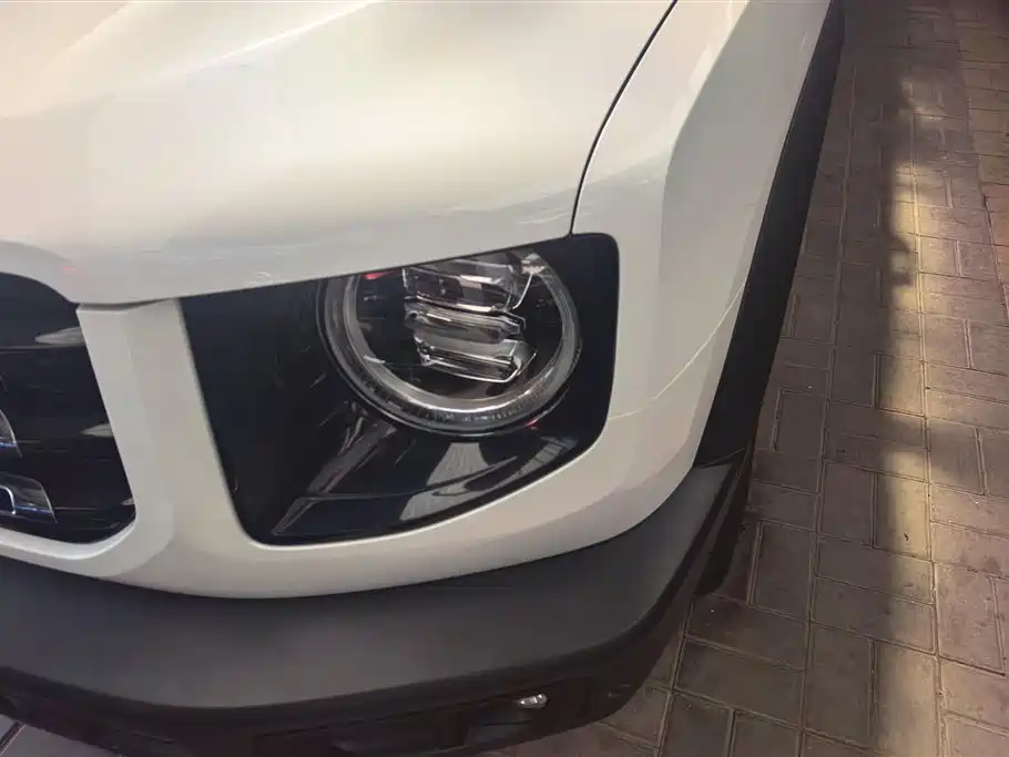 Haval Big Dog 2021 1.5T DCT 2WD Border Collie Edition фото 5