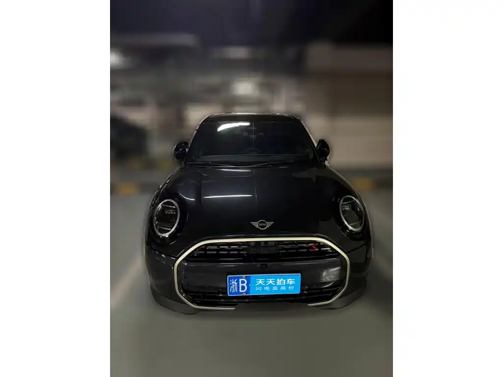 MINI MINI 2025 2025 Model 2.0T COOPER S Artist 5-Door